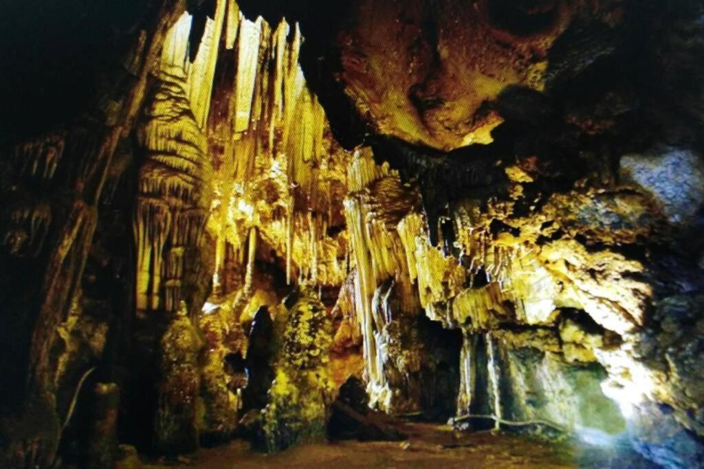 New! La Ginestra,Casa Vacanze Bifamiliare In Montagna-Seulo Sardegna Luaran gambar