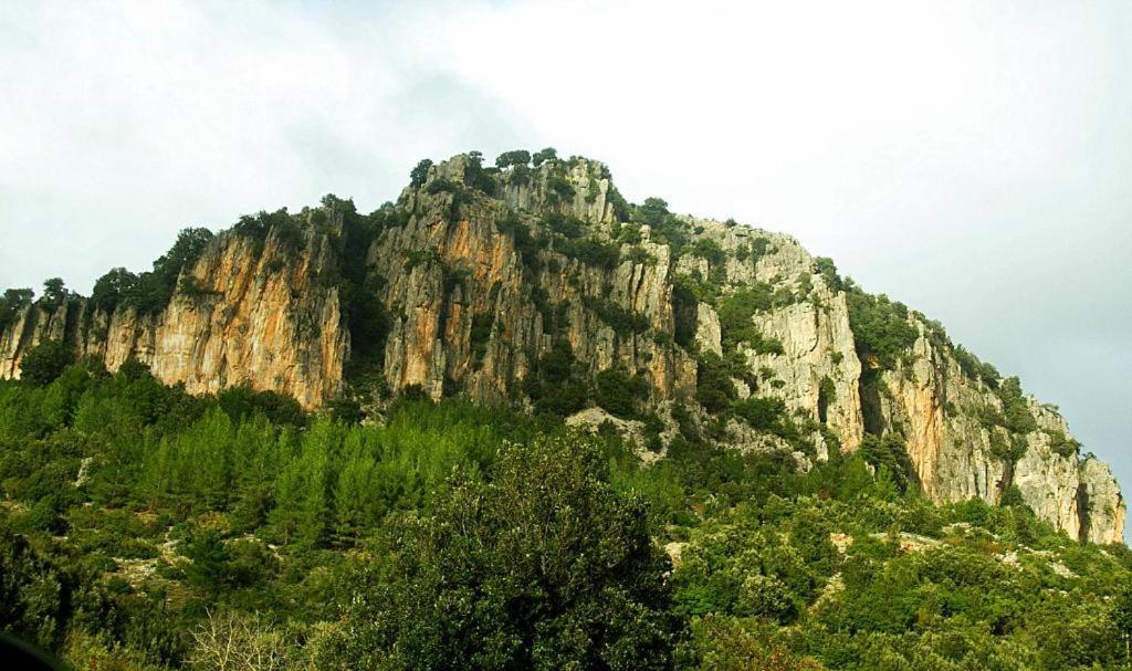 New! La Ginestra,Casa Vacanze Bifamiliare In Montagna-Seulo Sardegna Luaran gambar
