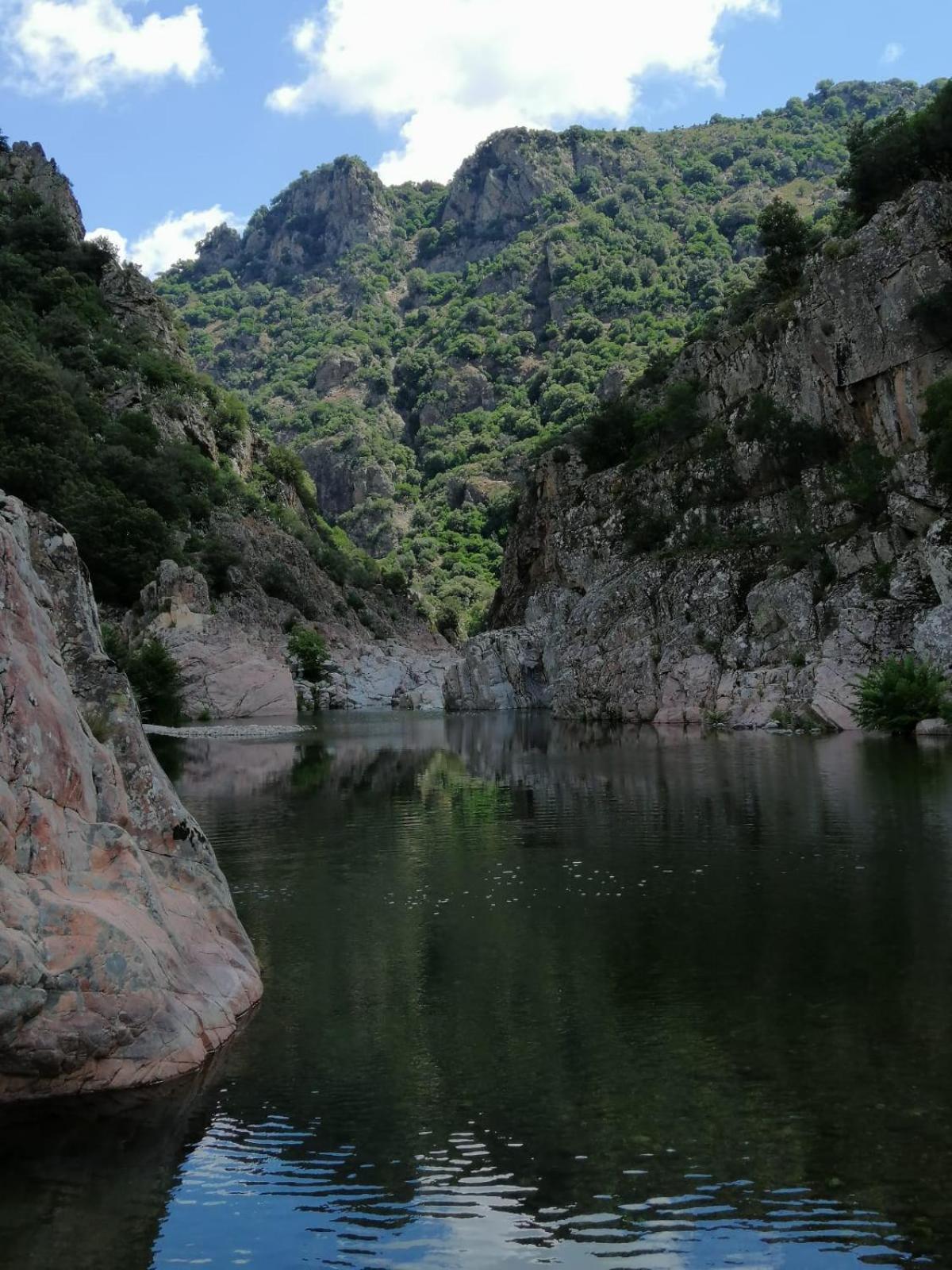 New! La Ginestra,Casa Vacanze Bifamiliare In Montagna-Seulo Sardegna Luaran gambar